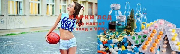 прущие грибы Наволоки