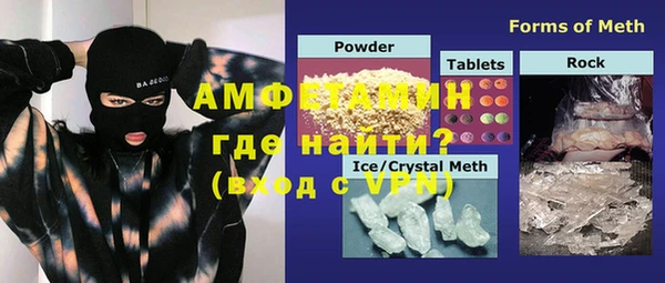 прущие грибы Наволоки
