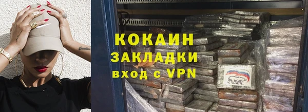 прущие грибы Наволоки
