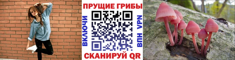 Галлюциногенные грибы MAGIC MUSHROOMS ОМГ ОМГ ССЫЛКА Кораблино